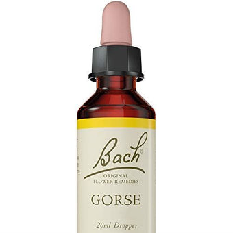 Bach Original Flower Remedies Gorse 20mlBy Nelson