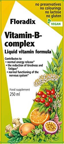 Floradix Vitamin B Complex Liquid Formula 250ml