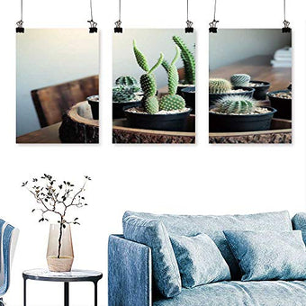 Doves Farm Freee Organic Chocolate Stars 300g