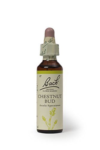 Bach Original Flower Remedies 20ml dropper - Chestnut Bud