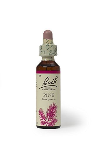 Bach Pine Remedy 20ml